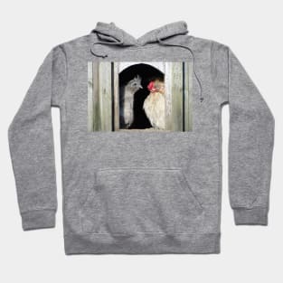 Looking Sunny Out There, Chook Hoodie